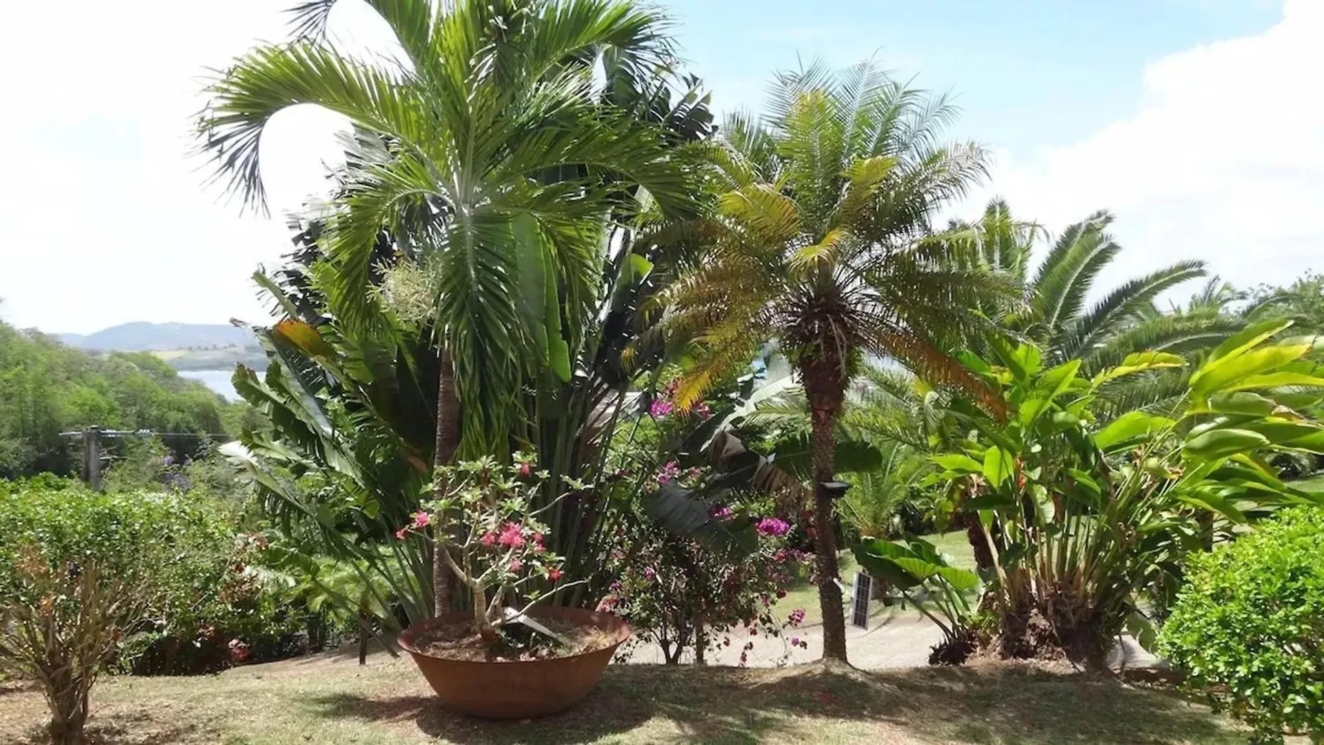Maison Vue Mer: Beachside Retreat with Pool and Garden La Trinite Holiday home